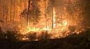 B.C. government declares province-wide state of emergency over wildfire situation